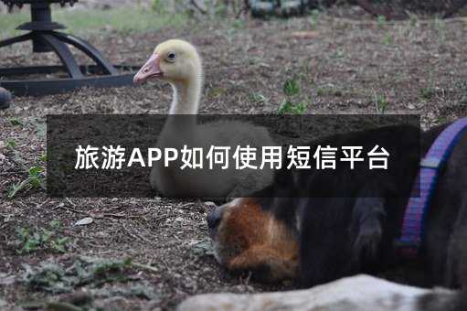 APPʹöƽ̨