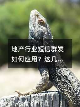 زҵȺӦã⼸һҪע