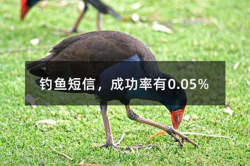 ţɹ0.05%