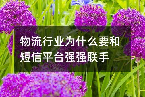 ҵΪʲôҪͶƽ̨ǿǿ