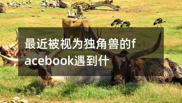 Ϊ޵facebookʲô鷳