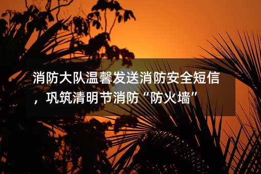 ܰȫţǽ