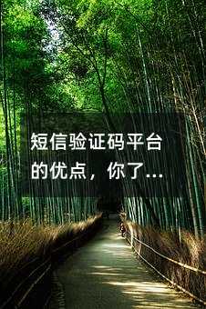 ֤ƽ̨ŵ㣬˽