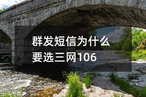 ȺΪʲôҪѡ106