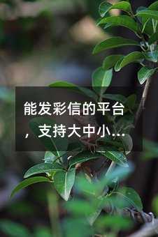ܷŵƽִ̨֧Сģķ