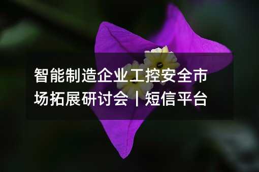 ҵذȫгչֻƽ̨
