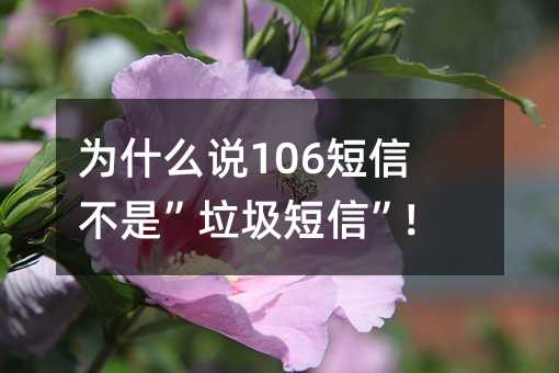 Ϊʲô˵106Ųǡš!