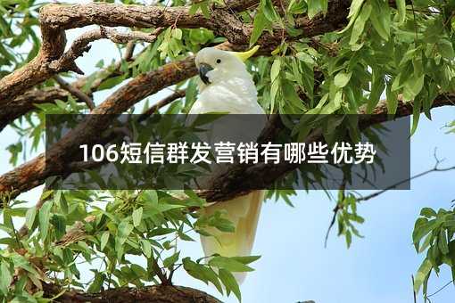 106ȺӪЩ