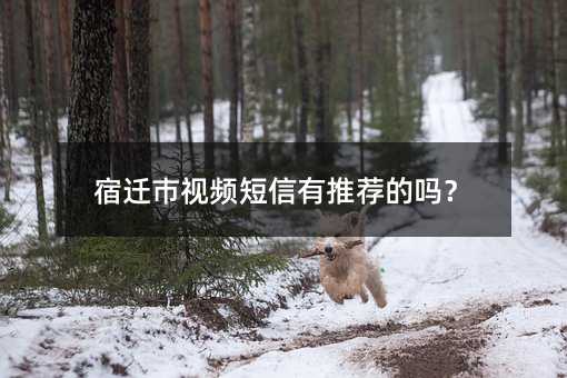 ǨƵƼ