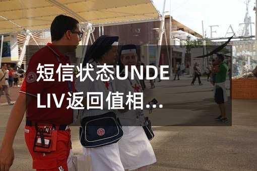 ״̬UNDELIVֵؽ취