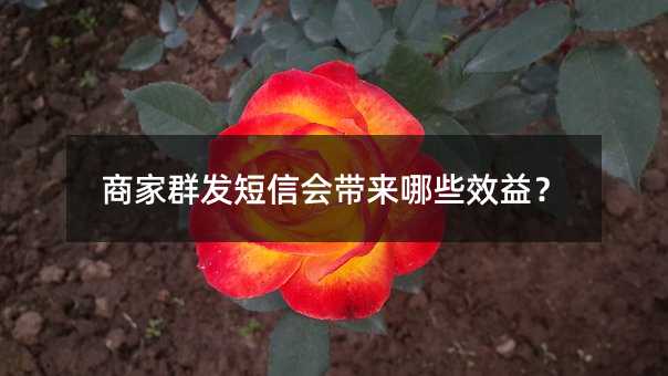 ̼ȺŻЩЧ棿