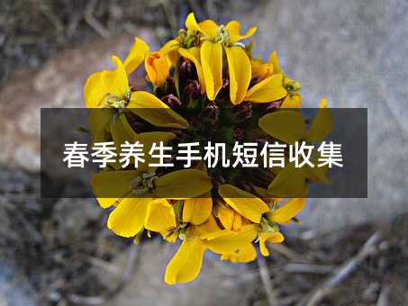 ֻռ
