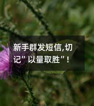 Ⱥ,мǡȡʤ!