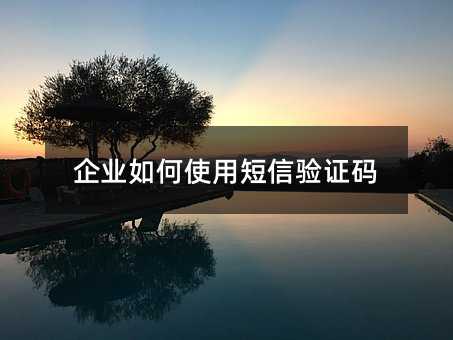 ҵʹö֤