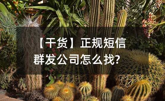 ɻȺ˾ô?