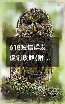 618Ⱥ(ģ)!