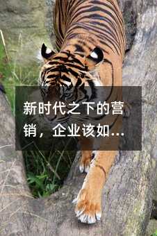 ʱ֮µӪҵǰ