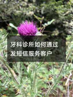 �����������ͨ�������ŷ���ͻ�