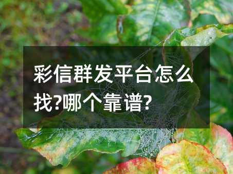 ����Ⱥ��ƽ̨��ô��?�ĸ�����?