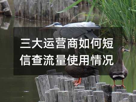 ӪζŲʹ