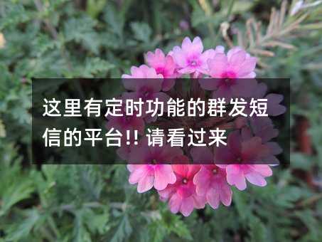 жʱܵȺŵƽ̨!! 뿴