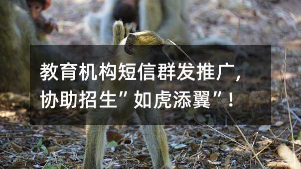 Ⱥƹ,Э绢!