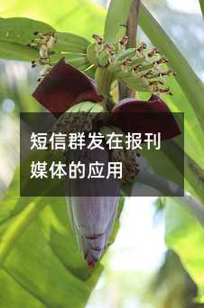 ȺڱýӦ