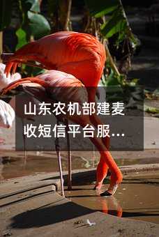 ɽũնƽ̨10ũС