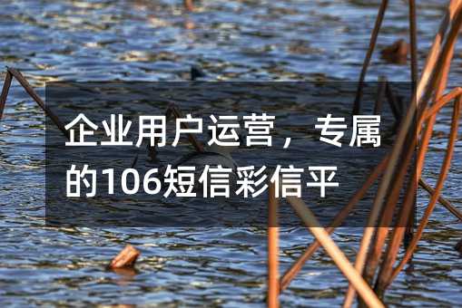 ҵûӪר106Ųƽ̨