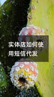 ʵʹöŴ