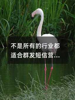 еҵʺȺӪ