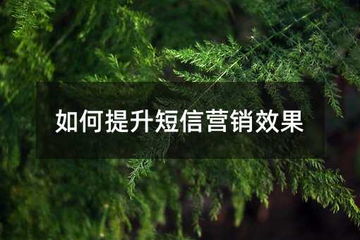 如何提升短信营销效果