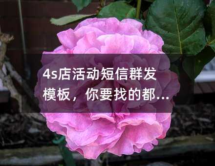 4sȺģ壬ҪҵĶ