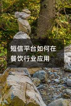 ƽ̨ڲҵӦ