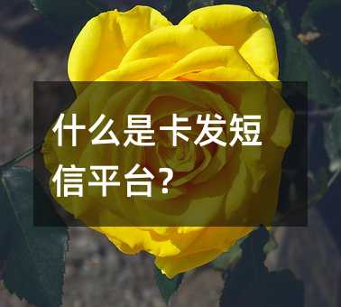 ʲôǿƽ̨?