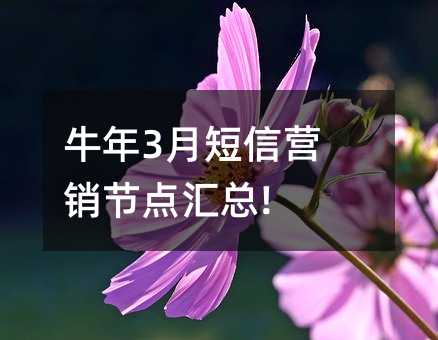 ţ3¶Ӫڵ!