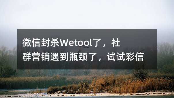 ΢ŷɱWetoolˣȺӪƿˣԲȺ
