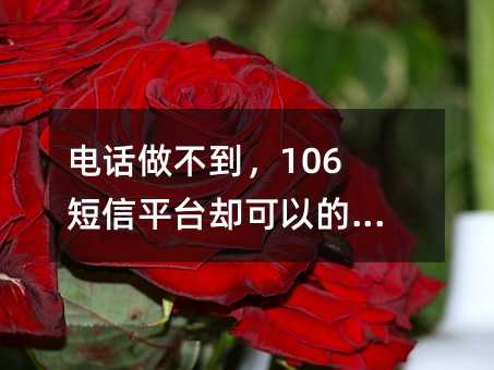 绰106ƽ̨ȴԵԣ