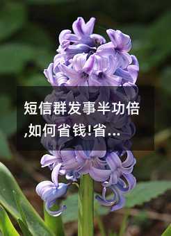 Ⱥ°빦,ʡǮ!ʡ!ʡ!