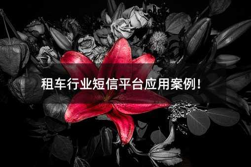 ⳵ҵƽ̨Ӧð