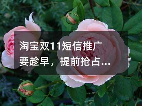 Ա˫11ƹҪ磬ǰռ
