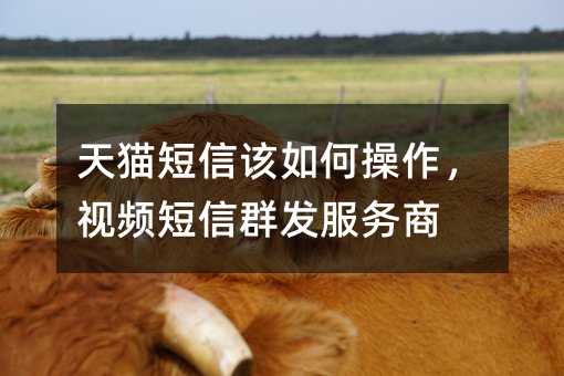 天猫短信该如何操作,视频短信群发服务商