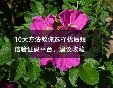 10󷽷ѡʶ֤ƽ̨ղ