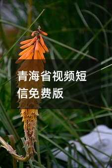 ຣʡƵѰ