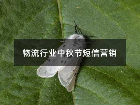 ҵڶӪ