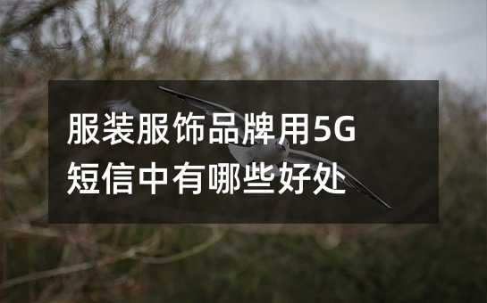 װƷ5GЩô
