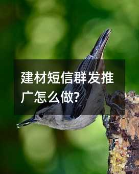 ĶȺƹô?