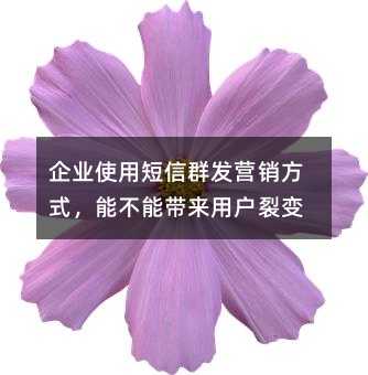 ҵʹöȺӪʽܴܲûѱ