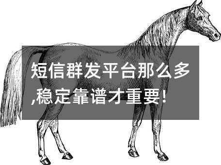 Ⱥƽ̨ô,ȶײҪ!