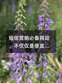 ӪرվǱˣҪǺã